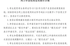 2024年下半年中小学教师资格考试笔试成绩复核开通申请图片