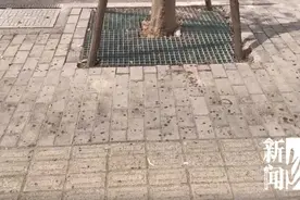 太恶心！街头这些不明粘液是啥？图片
