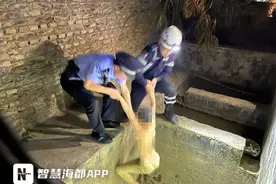 55分钟！泉州一10岁走失男童被顺利找回图片