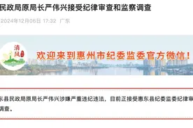 惠州惠东县民政局原局长严伟兴被查图片