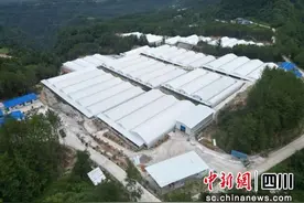 巴中通江一大型肉兔标准化养殖基地将全面投产图片