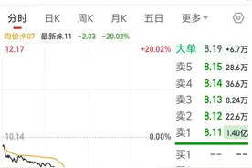 年报问询函涉“ST、退市”，朗源股份20cm跌停图片