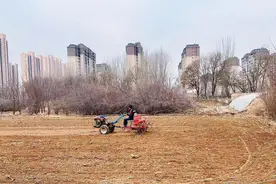 突遇降温降雨，大新镇抢种小麦备春耕图片