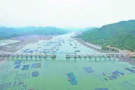宁上高速再迎新进展！宁德一批项目工程进度条刷新→图片