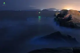 珠海再现“蓝眼泪”，吸引大批游客深夜打卡图片