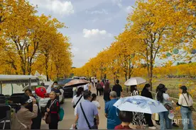 清明假期四川A级景区累计接待游客超1000万人次图片