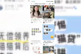警惕！南宁已有多人上当，“免费领养”背后暗藏猫腻图片