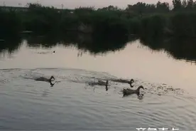读城记｜汶水而兴图片