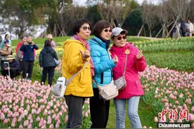 江西迎今春首趟大型入境旅游专列 近千名香港游客共赏豫章春色图片