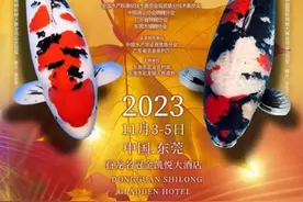接好运！全世界锦鲤今天汇聚东莞，只为这个“鲤”由图片