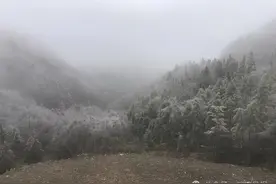 湖北又下雪了！图片