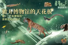 松江区启动全市首个“一平米博物馆”藏品进校园项目图片