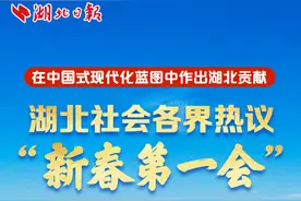 湖北社会各界热议“新春第一会”图片