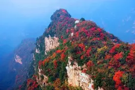 河南红叶进入最佳观赏期！这10个景点，周末推荐带娃去！图片