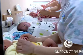 龙宝宝扎堆出生带来家政市场复苏图片