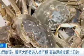 2小时可达周边城市！山西临猗黄河大闸蟹“坐上”高铁了图片