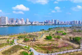 发现春之美|湖南永州：樱花怒放迎春来图片