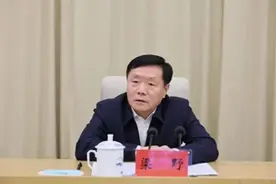 严重破坏所任职地区政治生态！哈尔滨市委政法委原书记梁野被双开图片