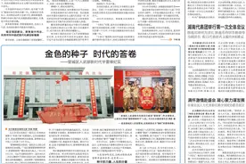 拥有链上企业240余家！长沙先进能源材料创“新”提“质”图片