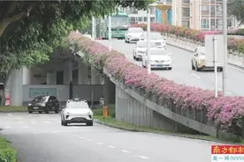 “萝卜快跑”遇行人急刹 车上安全员会介入调整速度图片