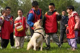 走进警犬基地 萌娃和“汪星战士”交朋友图片
