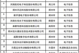 166家！河南省创新龙头企业名单公布图片