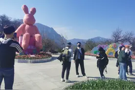 来河南，上春山！河南再迎韩国游客图片
