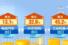 新产品新业态新品牌不断涌现 我国外贸含“新”量不断上升图片