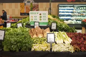 鲜！尝一口“春天”的味道图片