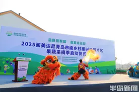 2025青岛西海岸新区新春民间艺术表演，家门口的文艺大餐图片