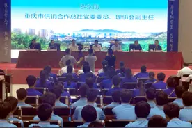 “巴渝工匠”杯重庆市第五届茶行业职业技能竞赛开幕图片