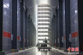 探访江西安远智慧农业工厂：食用菌住进“科技舱”图片