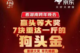湖南卫视跨年晚会首位锦鲤产生！京东送出价值32万元“狗头金”大奖图片