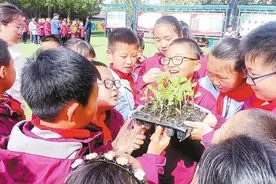 我们开耕啦！——兰州市城关区白道坪学校开展春耕劳动教育主题实践活动图片