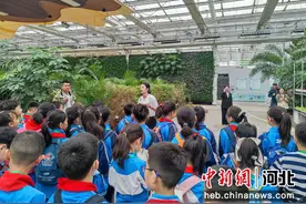 河北高碑店：多形式开展研学实践教育活动图片