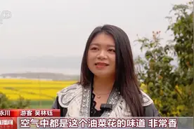 空气里都是油菜花香！来宝藏乡村探索春日野趣图片