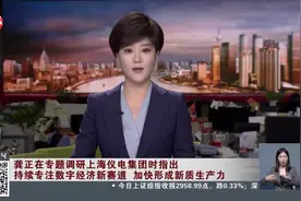 龚正在专题调研上海仪电集团时指出 持续专注数字经济新赛道 加快形成新质生产力视频封面