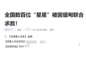 174名家属填写缅甸被困人员信息文档，更多的求救声也应该被听见图片