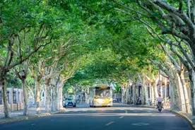 坐上嘉定104路，沿途皆美景！线路都帮你规划好了→图片