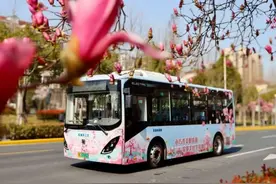 搭上这趟“樱花车”，开启15公里浪漫之旅图片