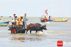 海南周刊 | 海南疍家：涨海伏波驭舟来图片