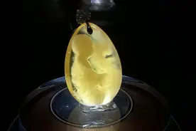 白垩纪时期的琥珀 你见过吗？图片