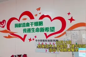 衡水志愿者赴石捐“髓” 点燃他人生命之光图片