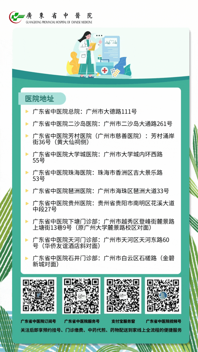 花胶 广肚 2026年花胶与广肚区别