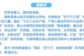 “佛山第一大村”今日招商，“佛山第一峰”下井头圩开圩图片