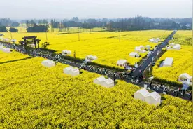 2025崇州半程马拉松定档3月9日，报名1月26日启动！图片