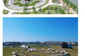金秋十月，沪上露营地交通攻略请查收→图片