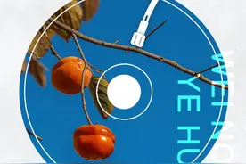 围农夜话丨一树红柿甜如蜜图片