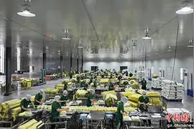 玉林玉州区：企业陆续复工复产 全力冲刺“开门红”图片