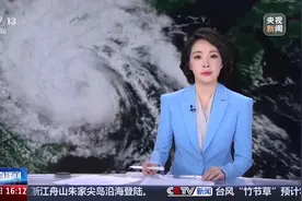 专家分析 台风“竹节草”有哪些特点